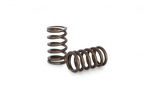 KVS71 Valve Spring Set